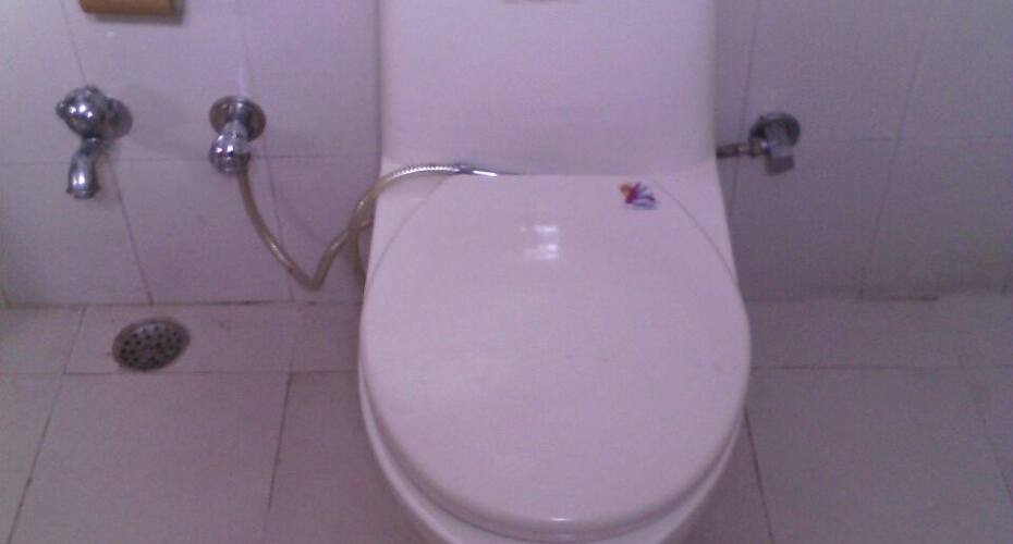 Hotel Catrit Cottgae, Manali 4